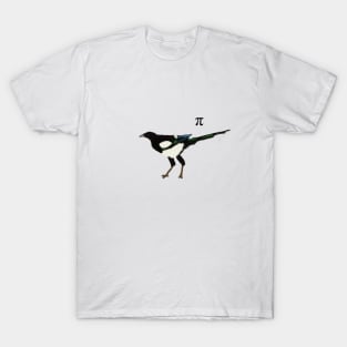 Mathematical Magpie with pi symbol T-Shirt